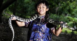 chinese-new-year-640px-090213