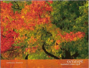 Orange jacket Postcard autumn leaves