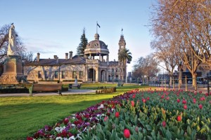 bendigo-tulips-and-war-memorial