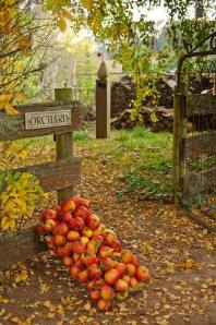 1004832_514880001954609_1434256371_n