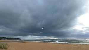 005129-3043f080-faa4-11e3-94a6-266deb5ccac3