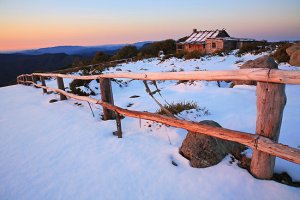 flat,550x550,075,f (1)