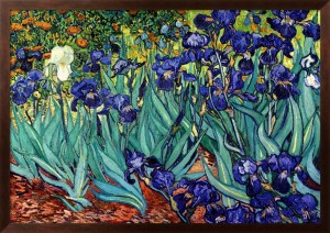 IRISES-SAINT-REMY-C-1889_03