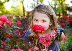 thumb_63862_ATDW_gallery