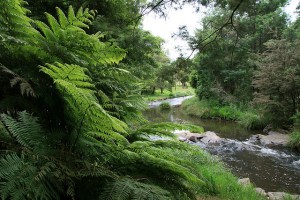 316943901_301013f1ff_z