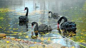 r0_1_1200_676_w1200_h678_fmax