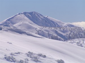 6954941667_1c156e60e8_b