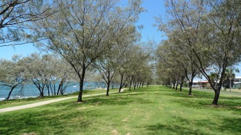 Burnett_Heads_She_Oaks