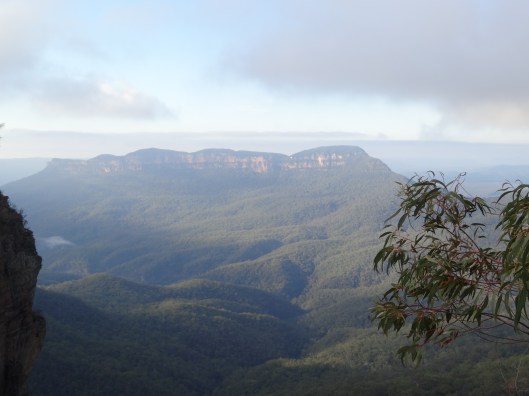 Famous Name: Eleanor | Waltzing More Than Matilda