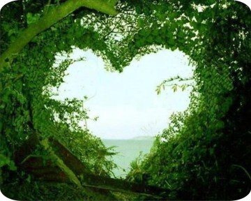 s415752448972681483_p6_i1_w1000