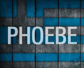 phoebe